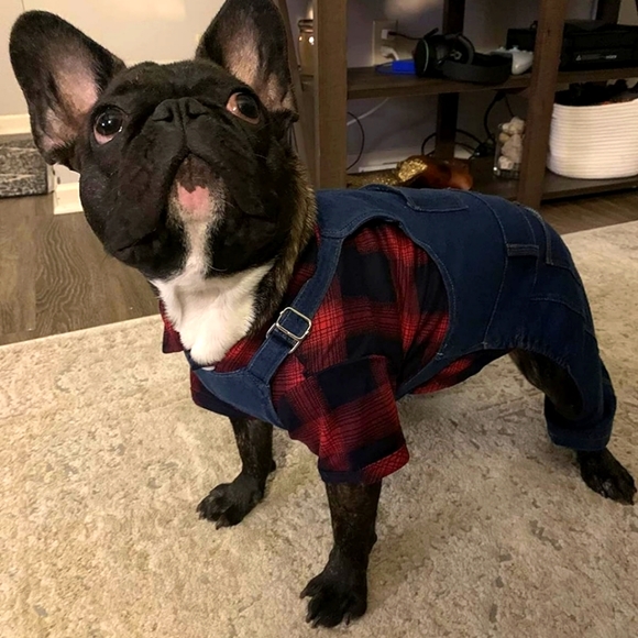 Plaid Dog Puppy Shirt Size XS - Picture 2 of 14